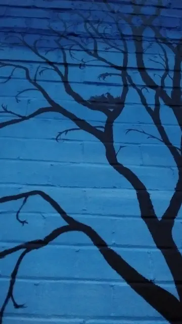 Murals by Cirlene